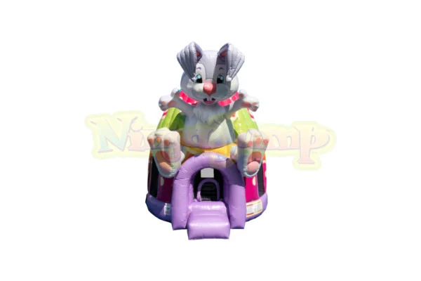 Bunny Bounce